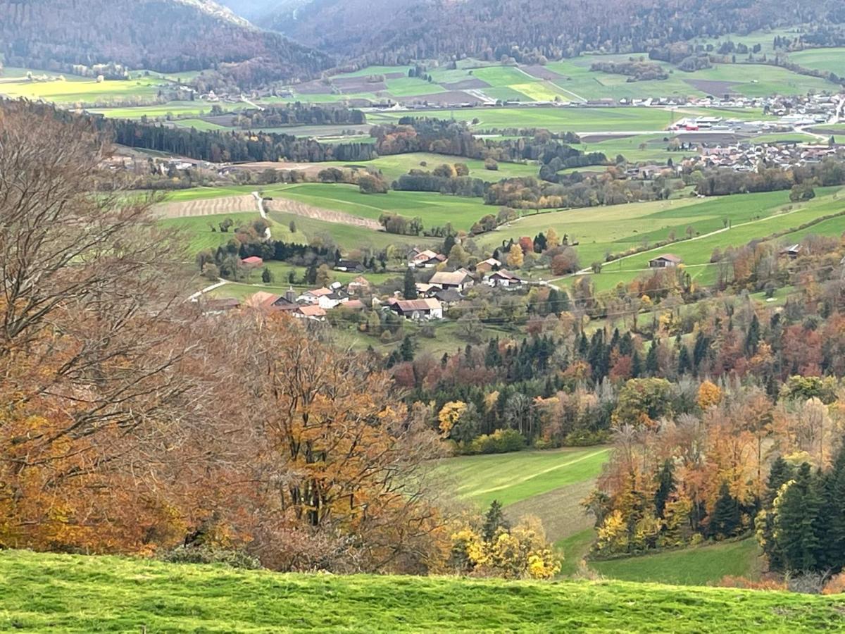Ferienhaus Les Rangiers *
